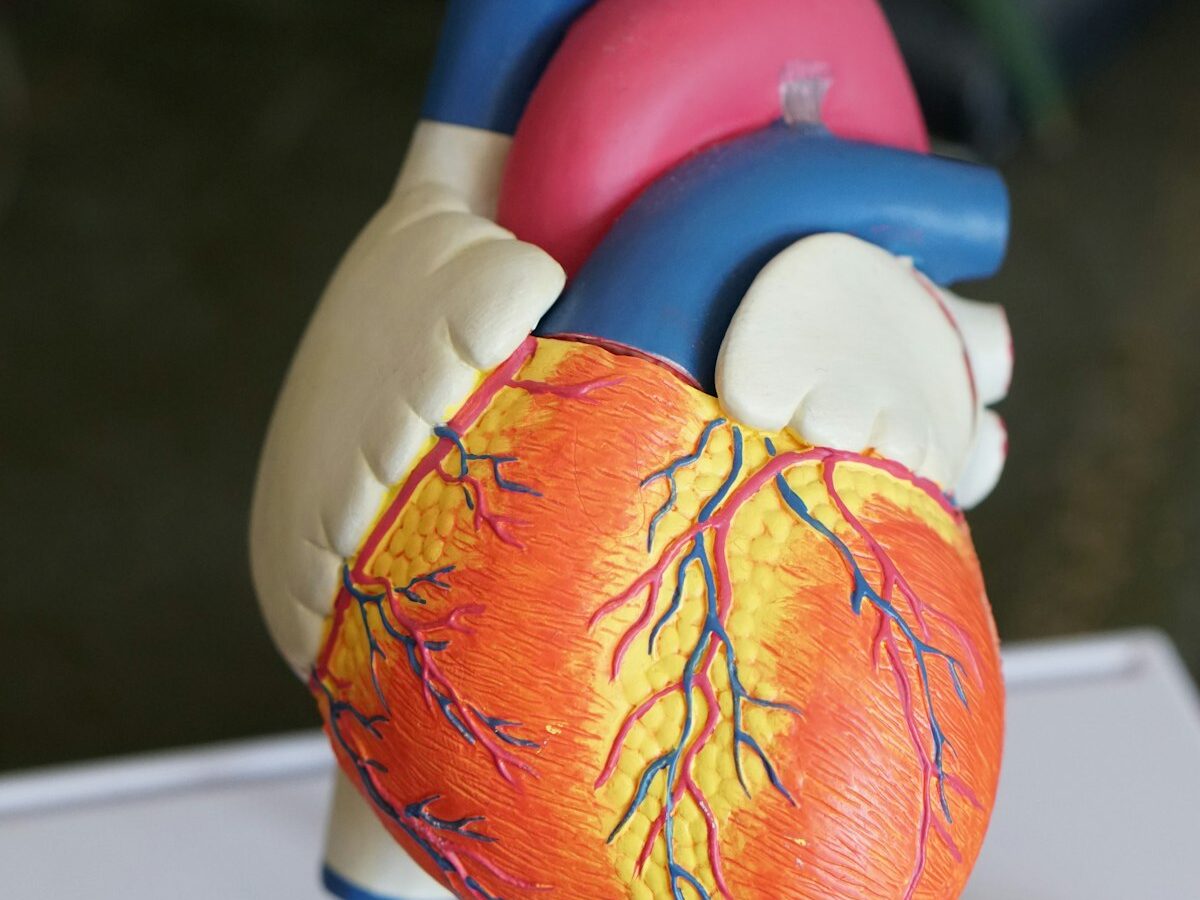 Heart valve replacement india cost recov